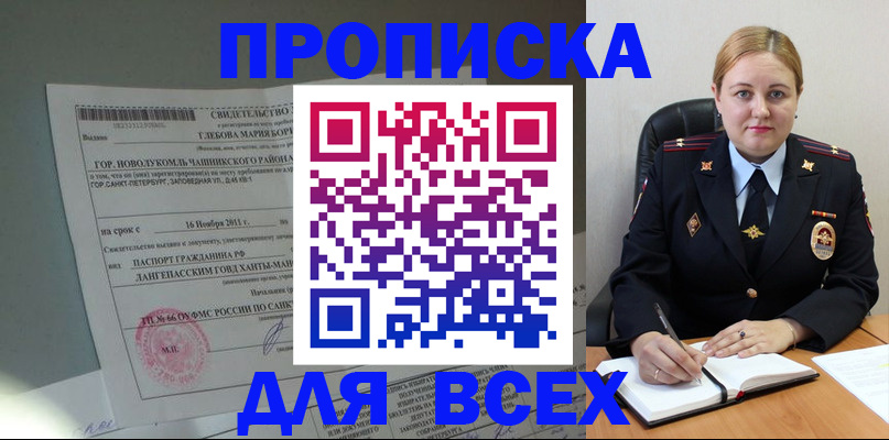 прописка поиск в Невеле